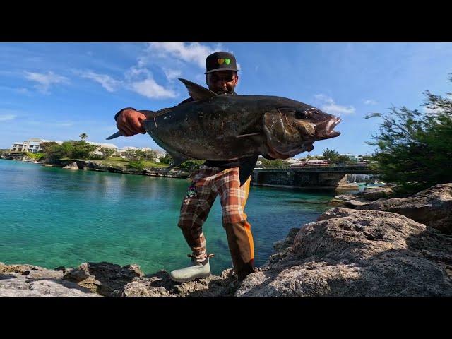 Giant Fish Goes CRAZY Over My Lure!