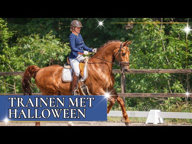 Galopwissels springen met Halloween | PaardenpraatTV