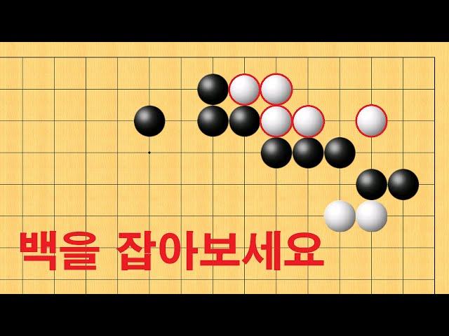 실전 필수 사활 - 백을 잡고 싶다면 무조건 이렇게 하세요
