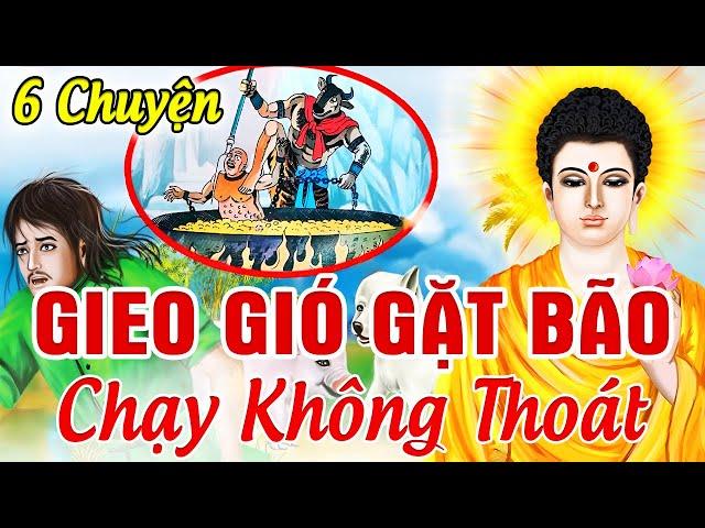 6 Chuyện Nhân Quả 2024 Hay Nhất, GIEO GIÓ GẶT BÃO - Nhân Nào Quả Đó...Luật Nhân Quả Không Bỏ Sót Ai