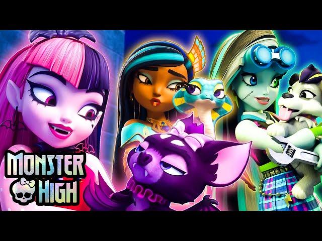  Love Your Pets: Celebrating Our Furry & Scaly Friends!  | Monster High