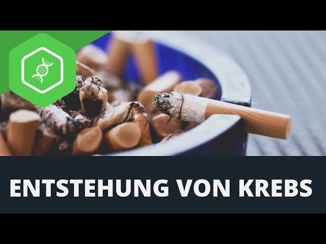 Krebs - Entstehung