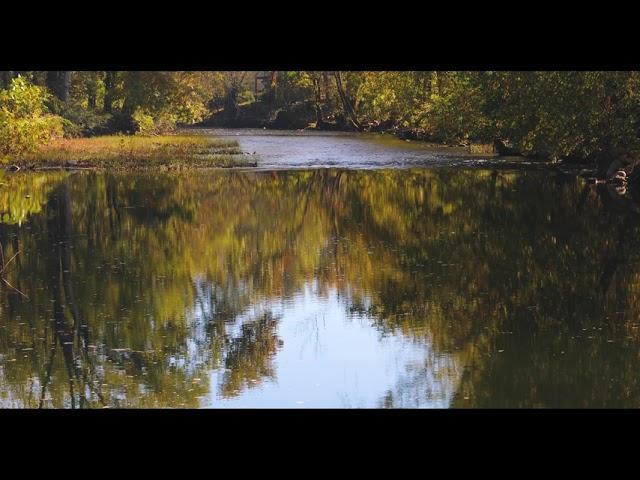 Bluff Mountain Fall Driving Tour