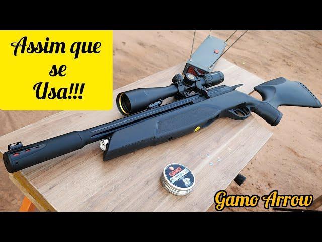 GAMO PRO MAGNUM PENETRATION 15,42 GRAINS E CARABINA GAMO ARROW CRONOGRAFAGEM E LUNETA WHEST HUNTER