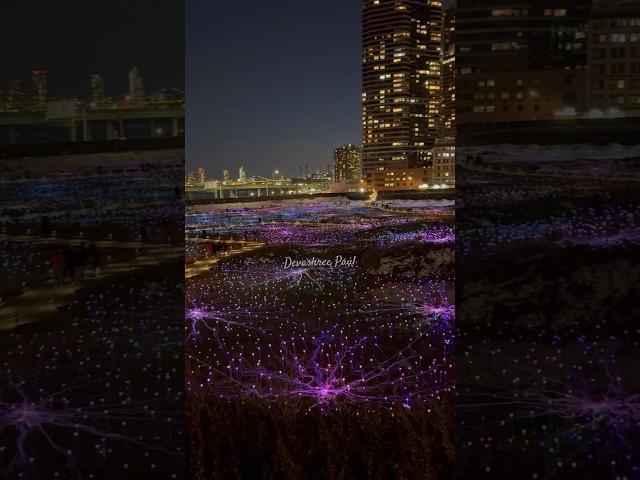 Field of Light🩷#light #hope #nyc #manhattan #nightview #nightout #travel #travelvlog