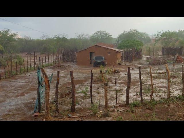 CHUVA NO SERTÃO NORDESTINO VERDEJANTE PÉ