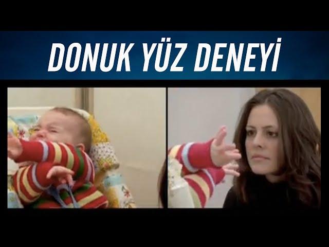 Tepkisiz Yüz Deneyi