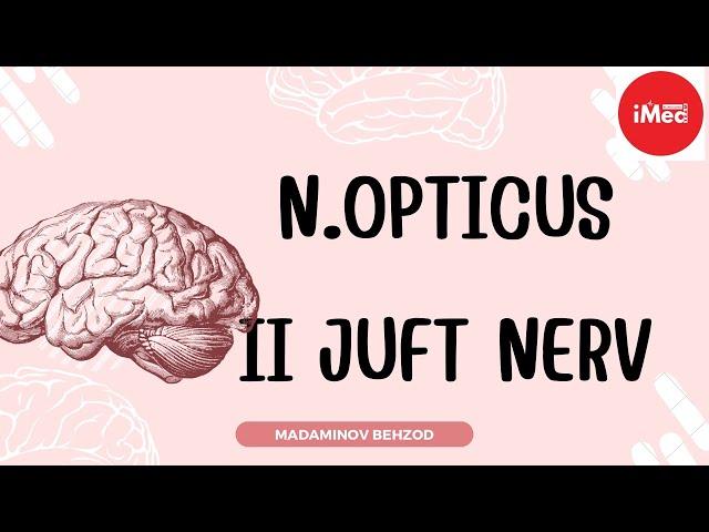 N.Opticus (II juft nerv) | nevrologiya kursi | #imed #imedteam