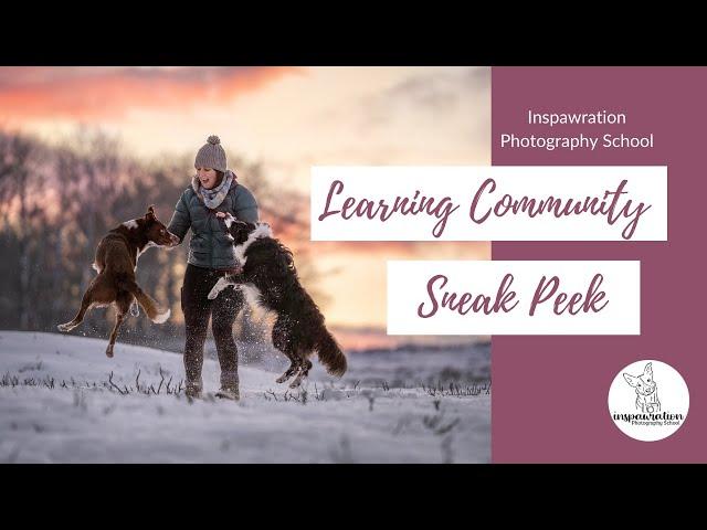 Inspawration Photography School: Learning Community Sneak Peek!