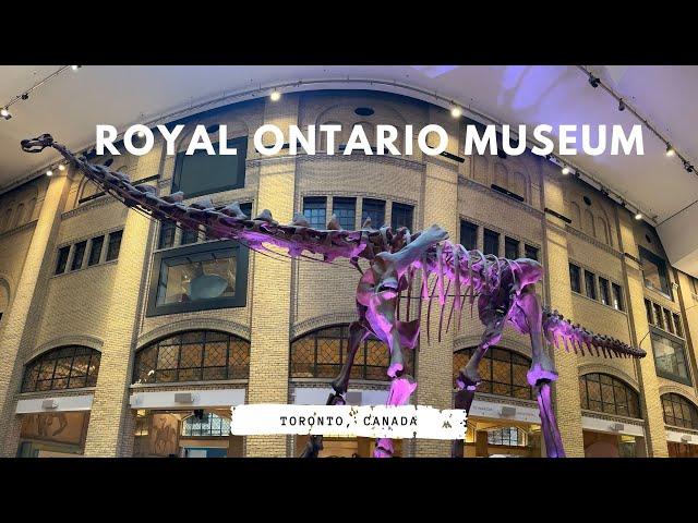 Inside the Royal Ontario Museum (ROM)  | WalterNei