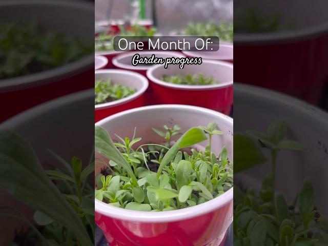 I can’t wait until this weekend! #algorithm #gardening #plants #homestead #gardenvisit #gardenchat