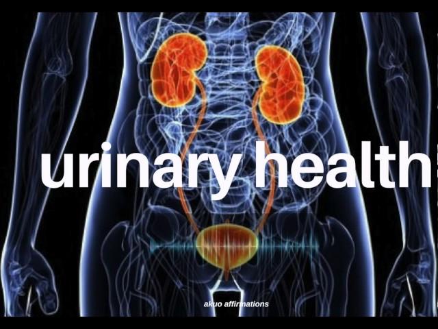 Excellent Urinary Health & Bladder Function―∎𝘢𝘶𝘥𝘪𝘰 𝘢𝘧𝘧𝘪𝘳𝘮𝘢𝘵𝘪𝘰𝘯𝘴