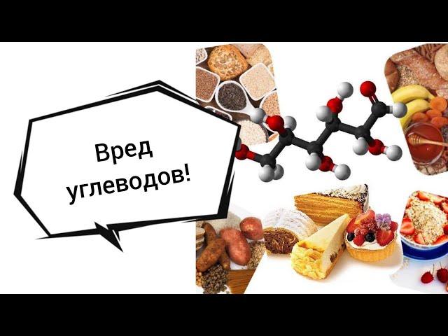 Углеводы - плохо, жиры - хорошо! Евгений Кето в прямом эфире!