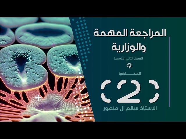 المراجعة ( الفصل الثاني ) | المحاضرة 2.