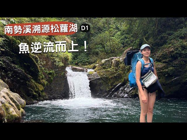 南勢溪溯源松蘿湖D1｜進入台灣的亞馬遜河、看見魚逆流而上！