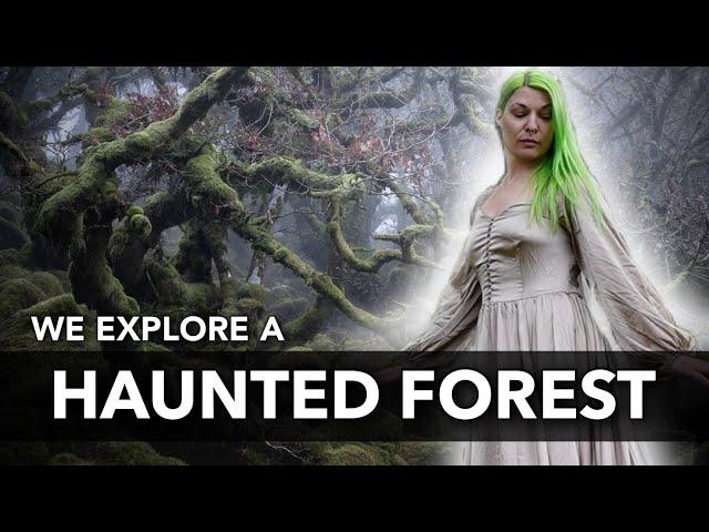 We Explore A Haunted Forest - The Ancient Wistman's Wood in England   4K