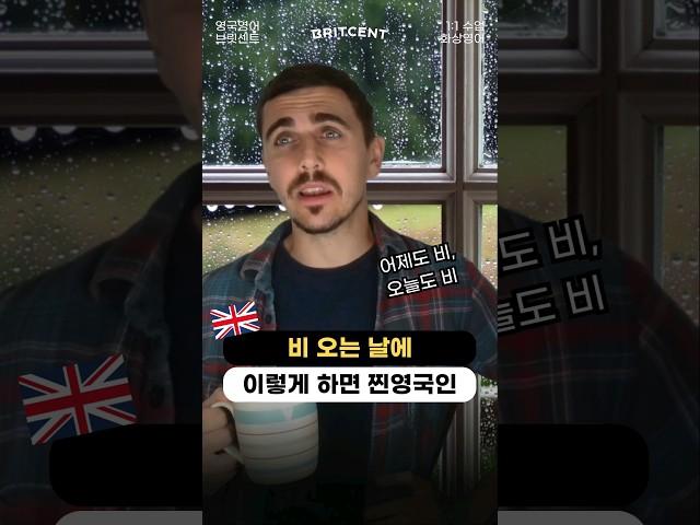 비오는 날 찐영국인 반응