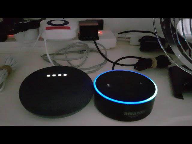 Google home Talking to Alexa LOL