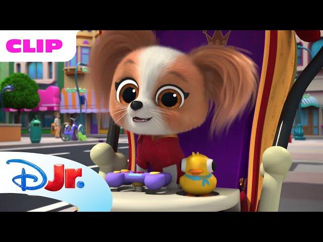 Toys Disappearing  | SuperKitties ⭐ | Disney Jr. MENA