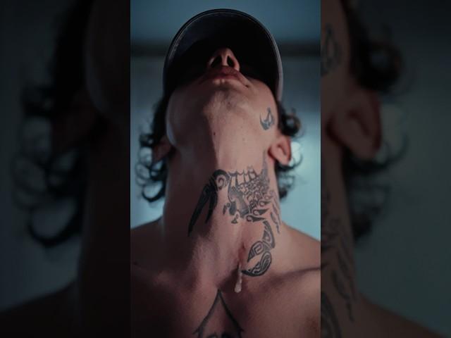 Scorpion king 