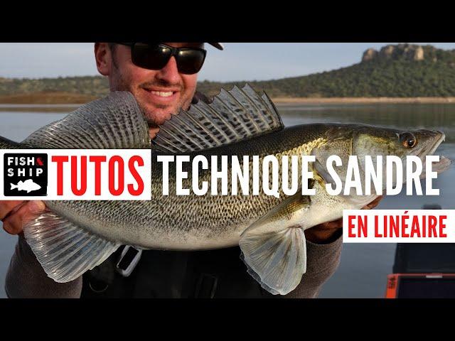 TUTO TECHNIQUE : Pêche du sandre en linéaire