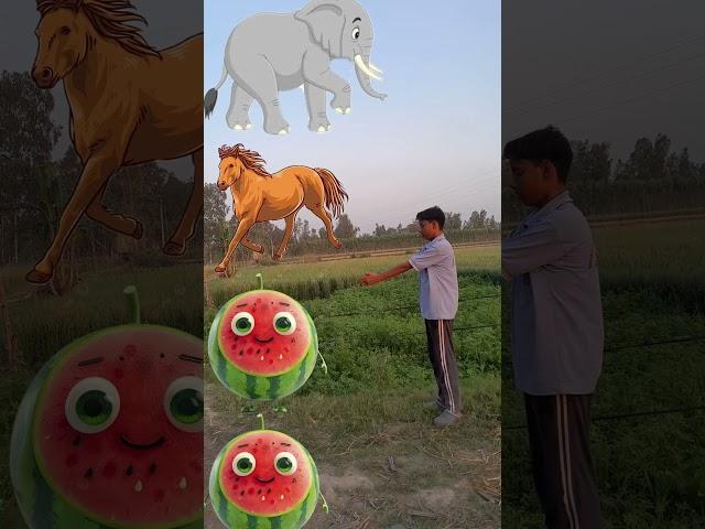 Elephant Horses Tiger lion #shortsfeed #vfxmahjabeen #shorts #viralvideo #vfxshorts #vfx