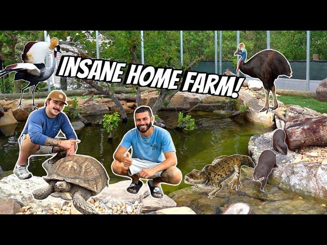 The MOST INSANE Farm in Florida?!?! @BlakesExoticAnimalRanch