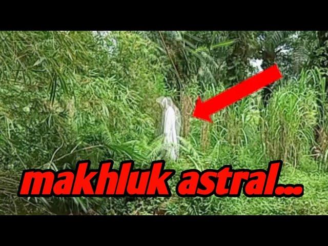 PENAMPAKAN MAKHLUK ASTRAL DI PINGGIR SUNGAI/mante bunian