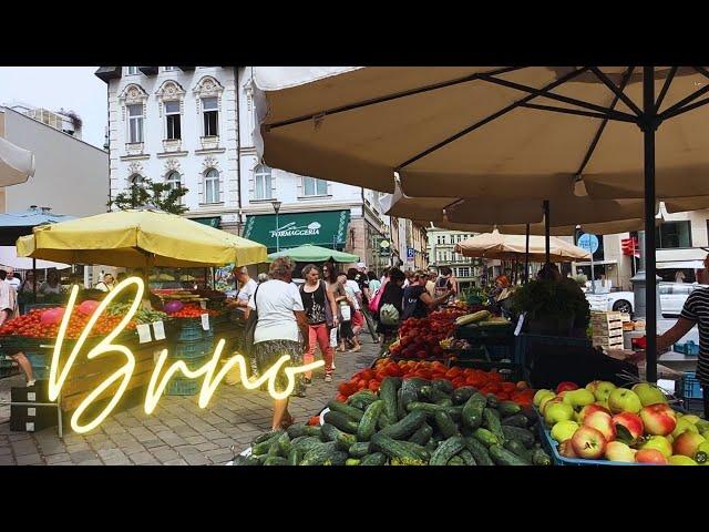 Exploring Brno, Czech Republic (Cathedral of Saint Peter and Paul, Špilberk Castle, Central Market)