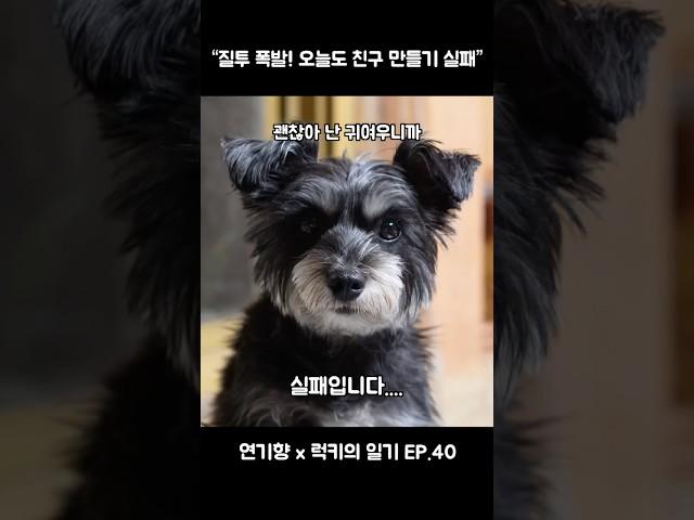 “럭키의 일기 EP.40” #럭키의일기 #연기향 #감동실화
