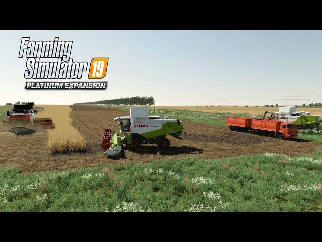 FS19 Timelapse #39 Большая уборочная в Новгородовке,Claas Lexion 560,RSM Torum 770, Торум-760