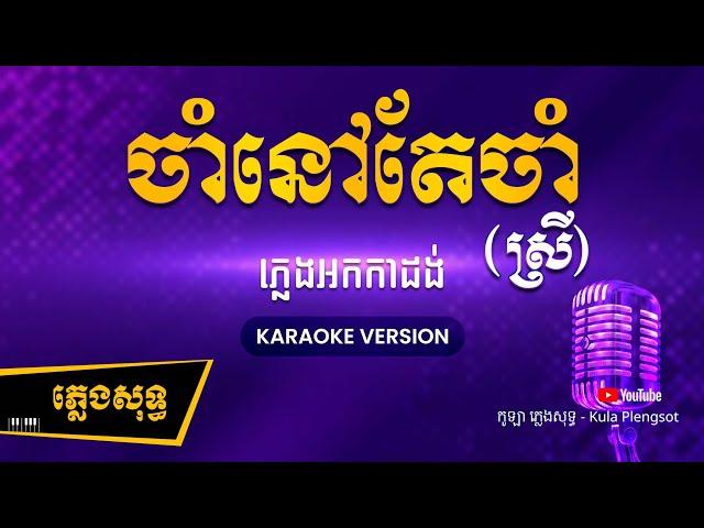 ចាំនៅតែចាំ (ស្រី) ភ្លេងសុទ្ធ - Jam Nov Tae Jam - [BY KULAORGAN] #Plengsotkhmer