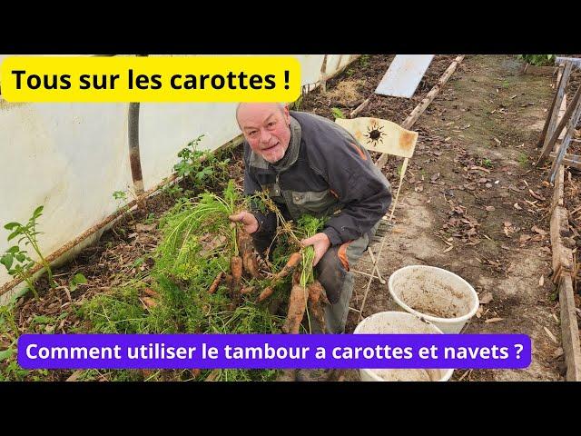 Tous sur les carottes ! PROTEGEONS DU FROID(un tambour de machine à laver pour vos légumes d'hiver )