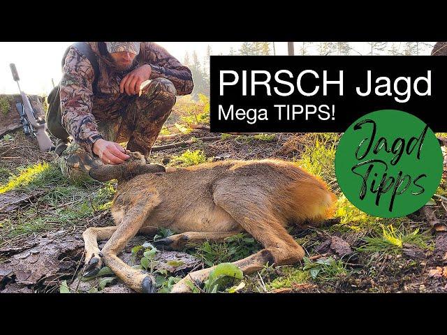 Jagd Tipps #1  |  Erfolgreich Pirschen  | Spannende Praxistipps für die Jagd