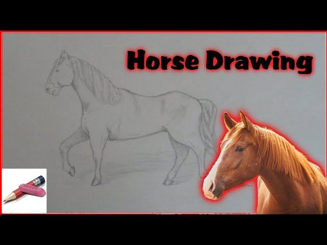 Horse Drawing