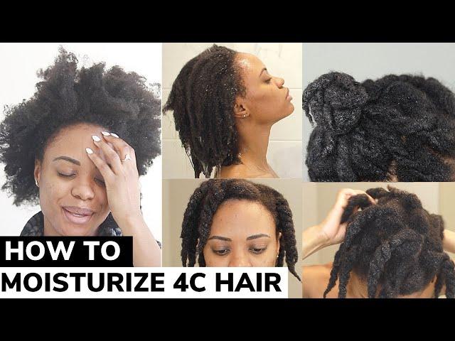 The ONLY Video You Need on How to Moisturize DRY 4C Natural Hair | DETAILED TUTORIAL  