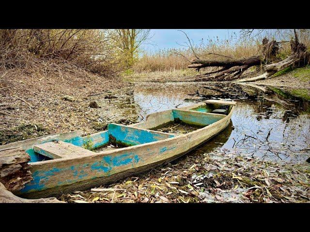 Сазан ТЯГНЕ В КОРЯГУ! Дикі КОРЯЖНИКИ СУЛИ!