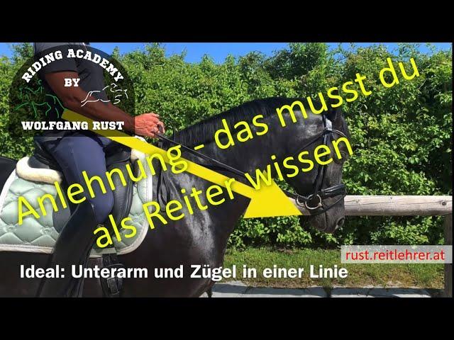 F27: Pferde mit feiner Anlehnung am Zügel reiten lernen, Kriterien, Fehler. Die feine Zügelhilfe!