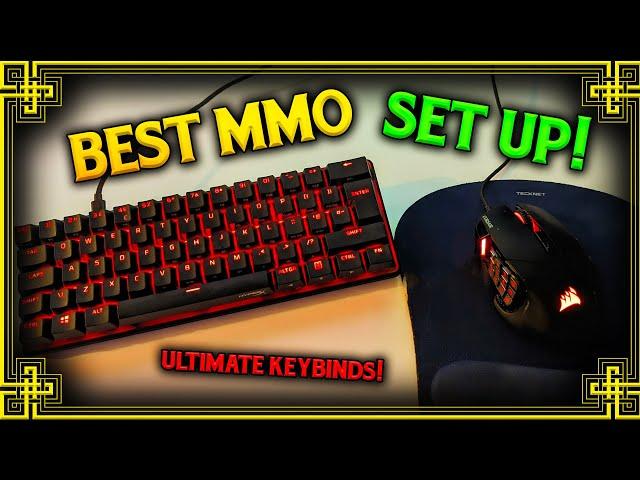 The Best Mouse & Keyboard Setup For Playing MMOs!