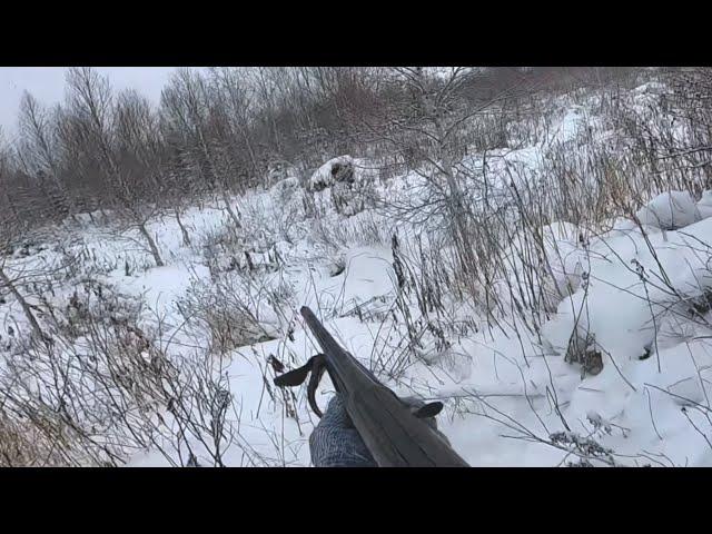 Bear hunting. The predator scares people. Forced shooting. And fishing on Sakhalin