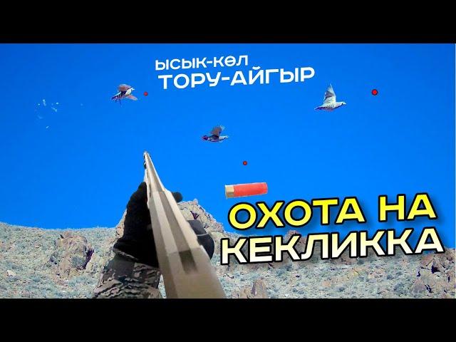 Ысык-Көл / Тору-Айгыр / КЕКИЛИККЕ АҢЧЫЛЫК