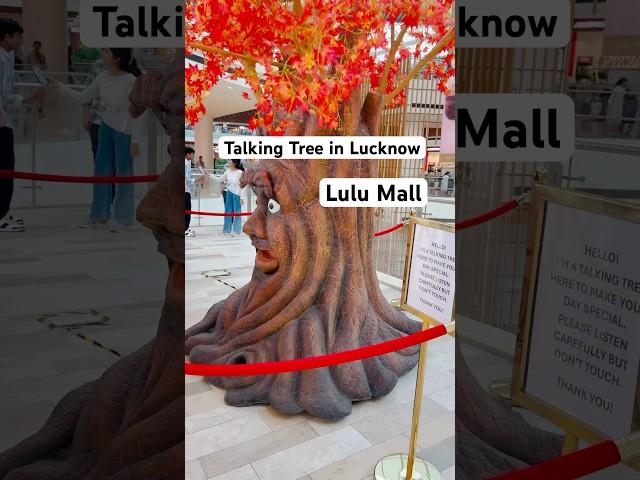 Talking tree in Lucknow lulumall #youtubeshorts #lulumalllucknow ​⁠#talkingtree