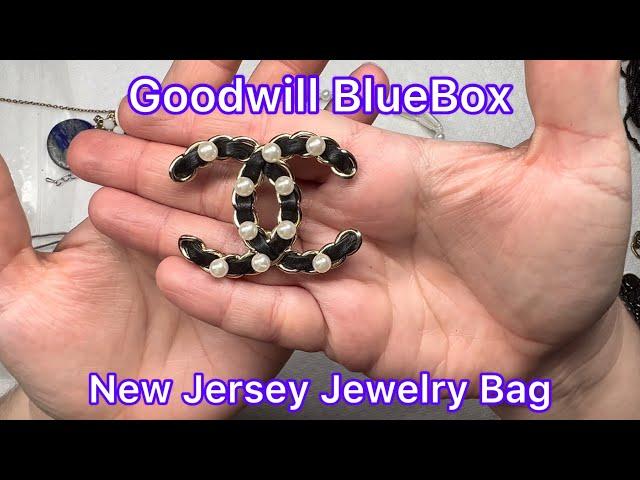 Goodwill BlueBox 5 Pound Mystery Jewelry Box Epic NJ NY Bag Real Chanel?Tiffany? #unboxing #jewelry