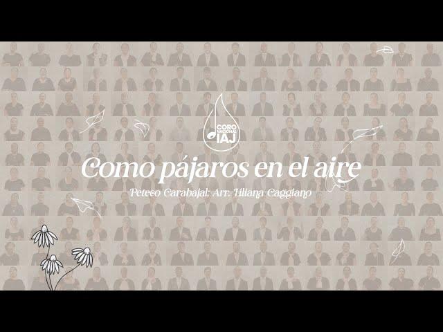 Como pájaros en el aire (Peteco Carabajal; Arr. Liliana Cangiano) - Coro Nacional IAJ