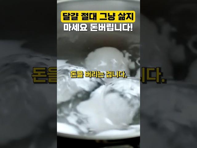 달걀 절대 '그냥' 삶지 마세요! #건강 #건강정보