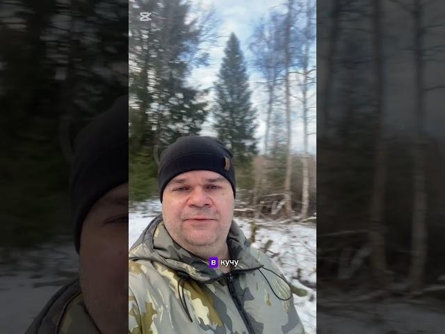 Начинаю освоение своего участка в Карелии. https://t.me/ZemInvST #топ#профит#участки#Карелия#земля