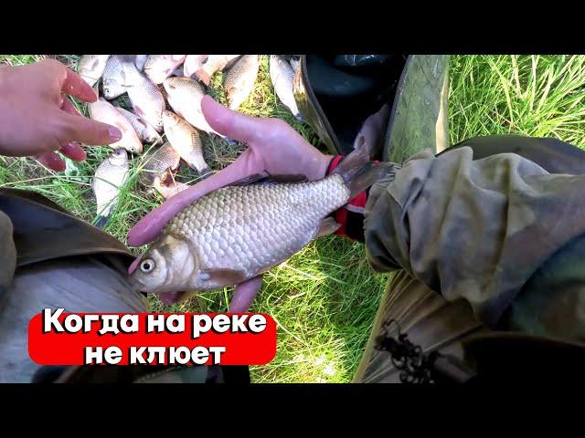 КАРАСЬ НА СПИННИНГ! КОГДА НЕ КЛЮЕТ НА ПОПЛАВОК И В РЕКЕ МУТНАЯ ВОДА МОРМЫШИНГ ВЫРУЧАЕТ! РЫБАЛКА 2024