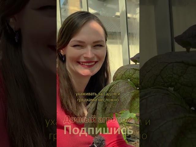 Дача СЧАСТЬЯ с Дачный агроном