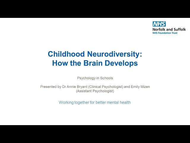 Childhood Neurodiversity: How the Brain Develops