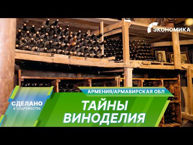 Как делают идеальное вино? Секреты армянского виноделия и уникальные сорта